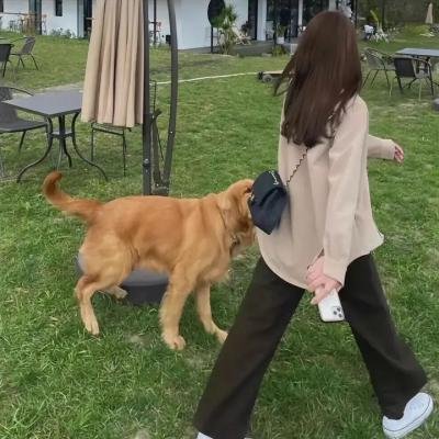 西城故事