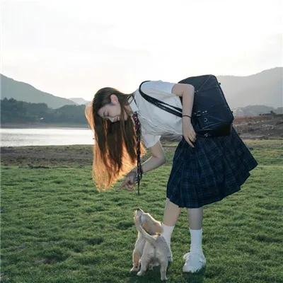 狮子彻夜未眠